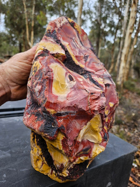 Polished Mookaite display specimen MK593