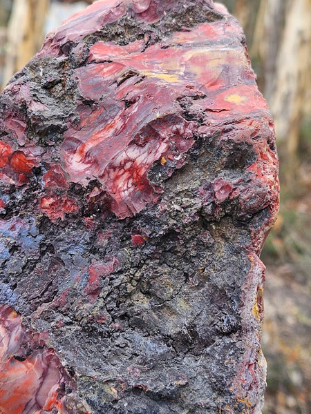 Polished Mookaite display specimen MK593