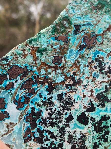 Polished De Grussa copper ore display specimen  CO144