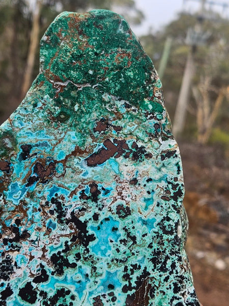 Polished De Grussa copper ore display specimen  CO144