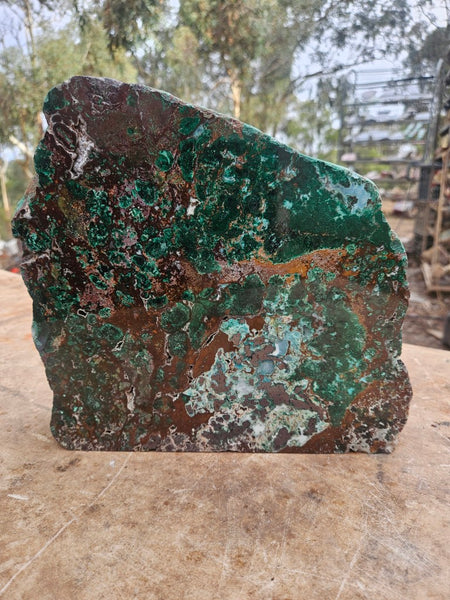 Polished De Grussa copper ore display specimen  CO145