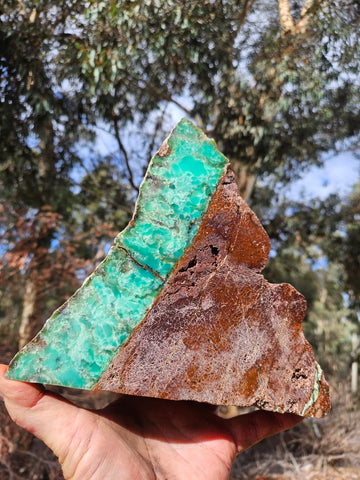 Polished  Chrysoprase  display specimen CH504