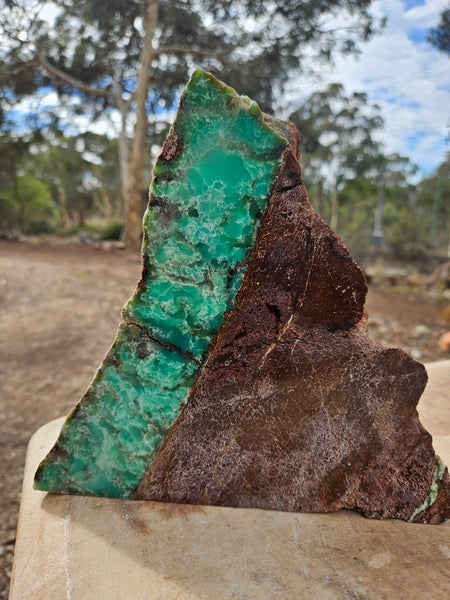 Polished  Chrysoprase  display specimen CH504