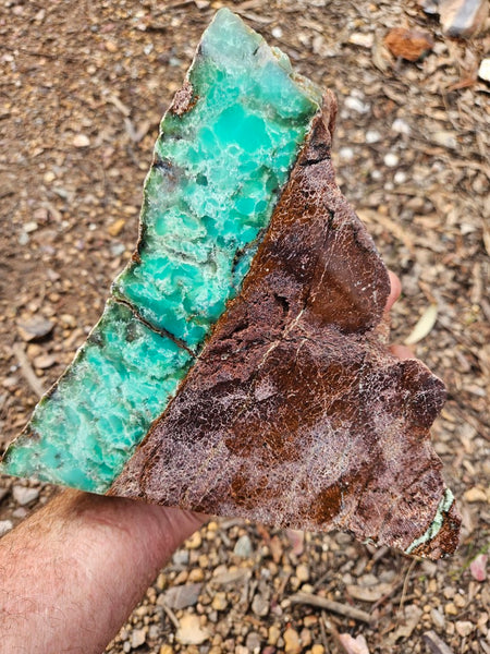 Polished  Chrysoprase  display specimen CH504