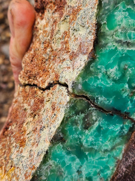 Polished  Chrysoprase  display specimen CH504