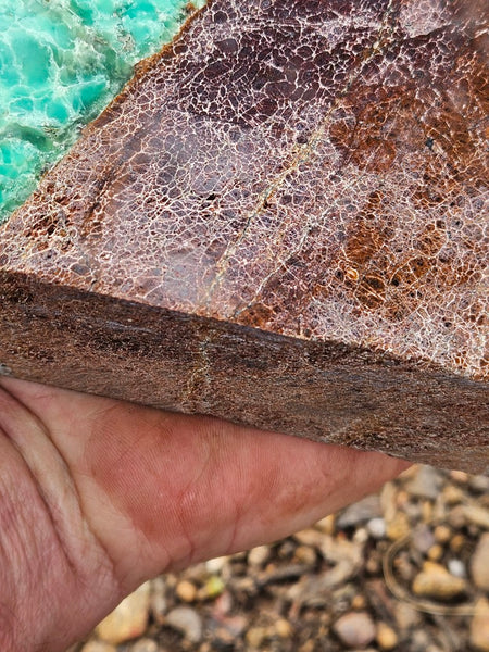 Polished  Chrysoprase  display specimen CH504