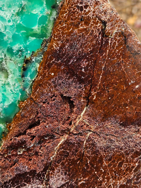Polished  Chrysoprase  display specimen CH504