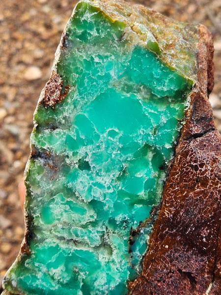 Polished  Chrysoprase  display specimen CH504