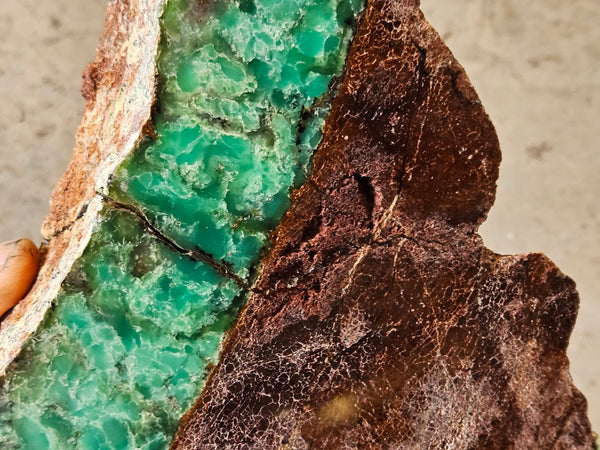 Polished  Chrysoprase  display specimen CH504
