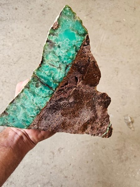 Polished  Chrysoprase  display specimen CH504