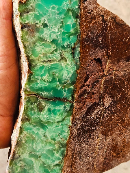 Polished  Chrysoprase  display specimen CH504