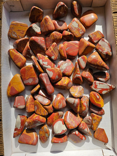 3 Kg. Tumble Polished Noreena Jasper NJT140