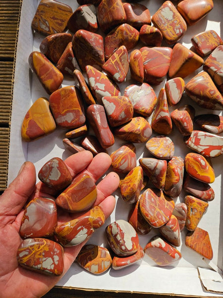 3 Kg. Tumble Polished Noreena Jasper NJT140
