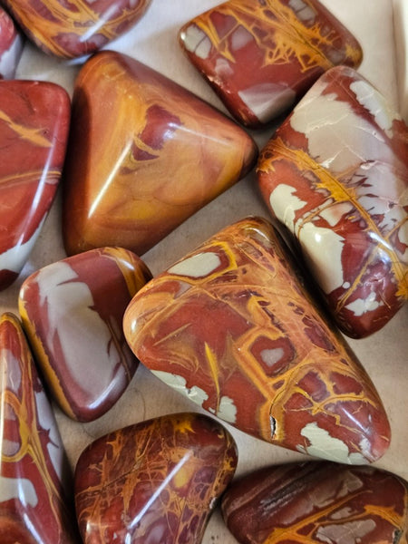 3 Kg. Tumble Polished Noreena Jasper NJT140