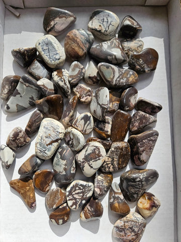 2 kg. Tumble Polished Outback Jasper OJT108