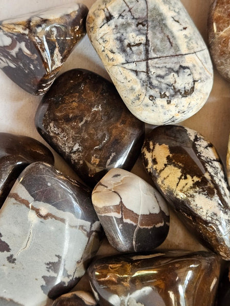 2 kg. Tumble Polished Outback Jasper OJT108