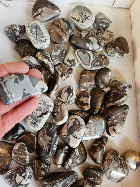2 kg. Tumble Polished Outback Jasper OJT108