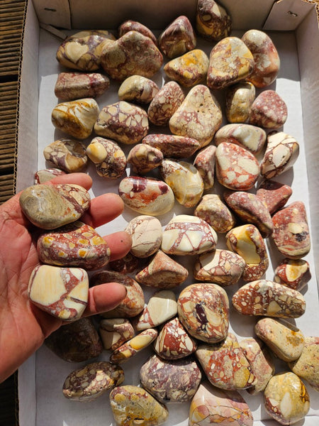 3 kg Tumble Polished Brecciated Mookaite BMT114