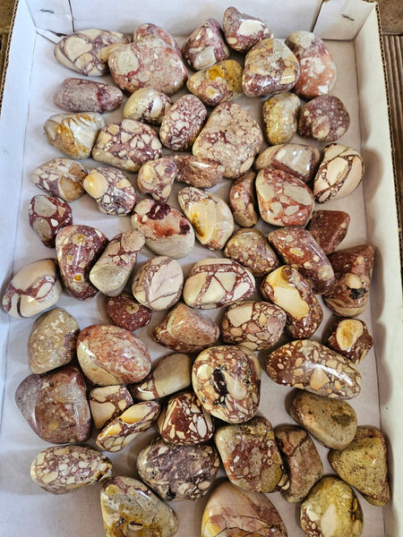 3 kg Tumble Polished Brecciated Mookaite BMT114