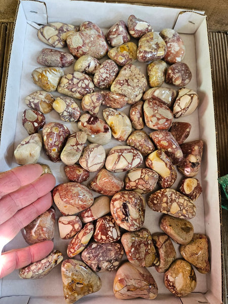 3 kg Tumble Polished Brecciated Mookaite BMT114