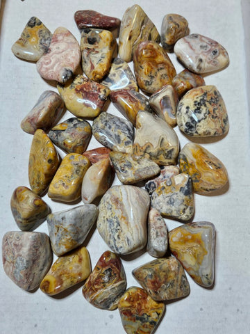2 kg. Tumble polished Crazy Lace Agate CLT125