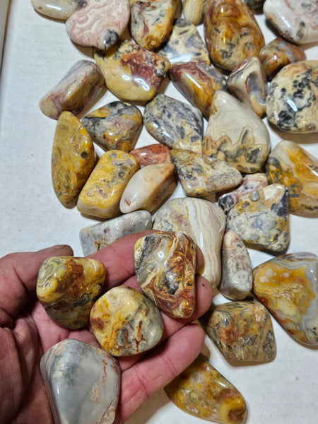 2 kg. Tumble polished Crazy Lace Agate CLT125