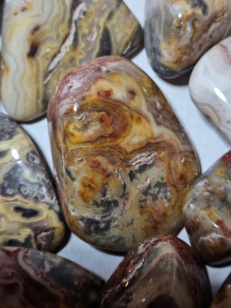 2 kg. Tumble polished Crazy Lace Agate CLT125