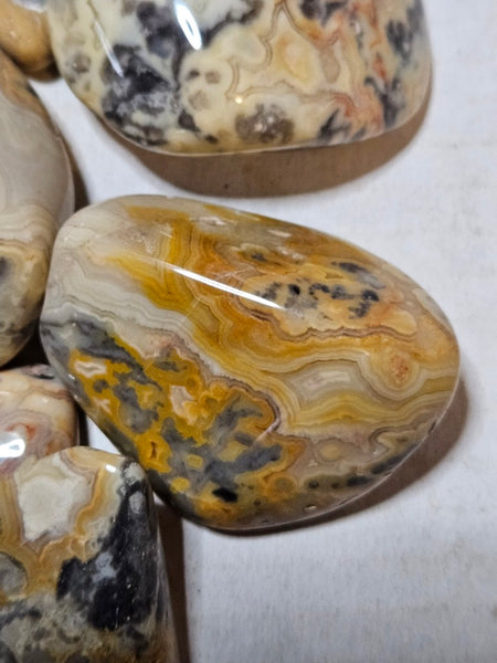 2 kg. Tumble polished Crazy Lace Agate CLT125