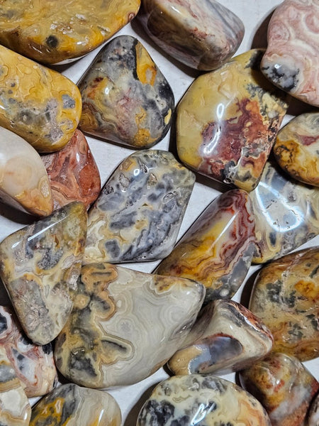 2 kg. Tumble polished Crazy Lace Agate CLT125
