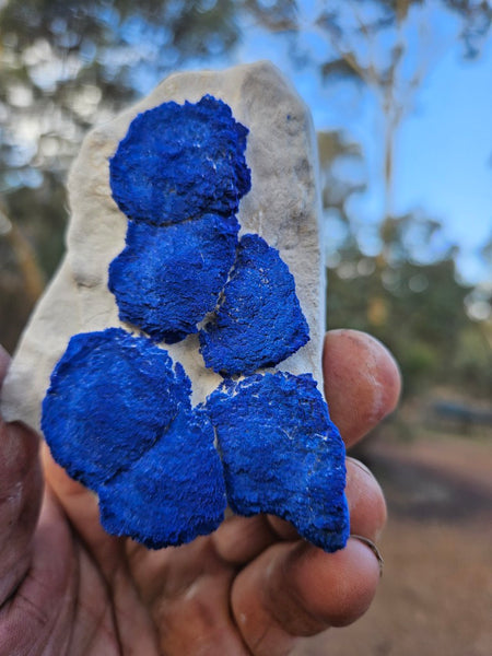 Azurite Sun  AZ204