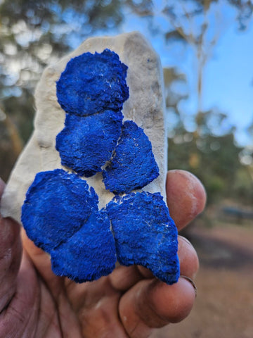 Azurite Sun  AZ204