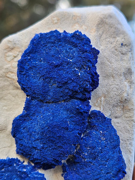 Azurite Sun  AZ204