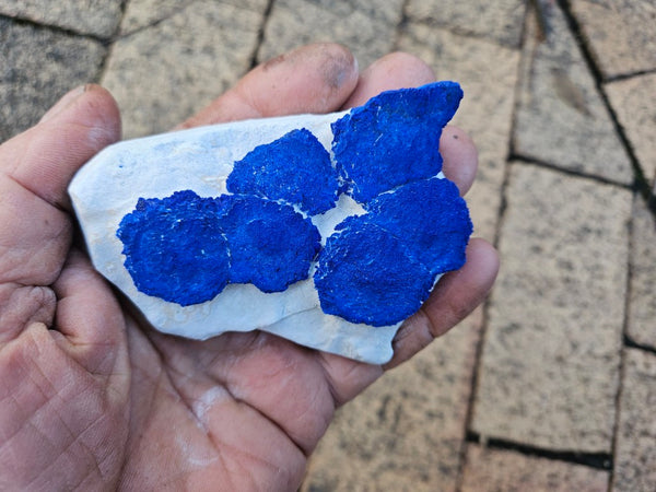 Azurite Sun  AZ204