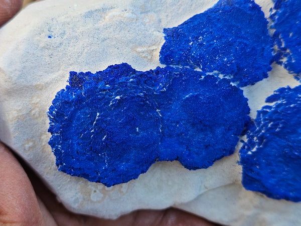Azurite Sun  AZ204