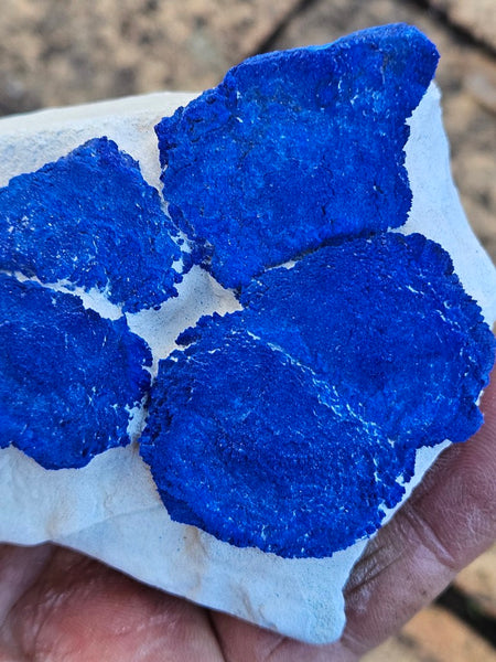 Azurite Sun  AZ204