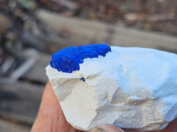 Azurite Sun  AZ205