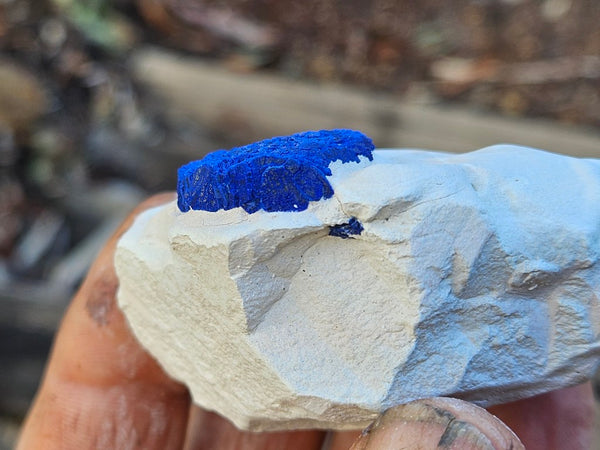 Azurite Sun  AZ205