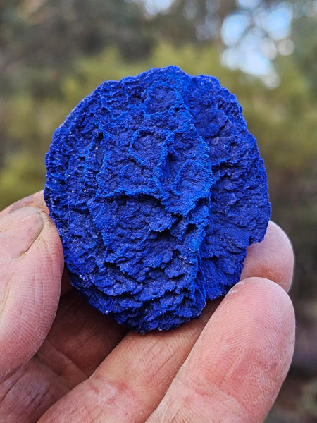 Azurite Sun  AZ206