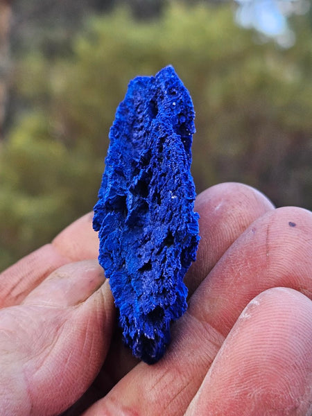 Azurite Sun  AZ206