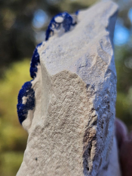 Azurite Sun  AZ207