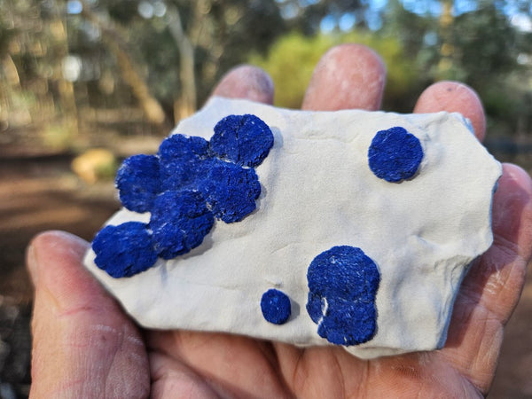 Azurite Sun  AZ207