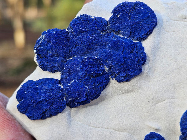Azurite Sun  AZ207