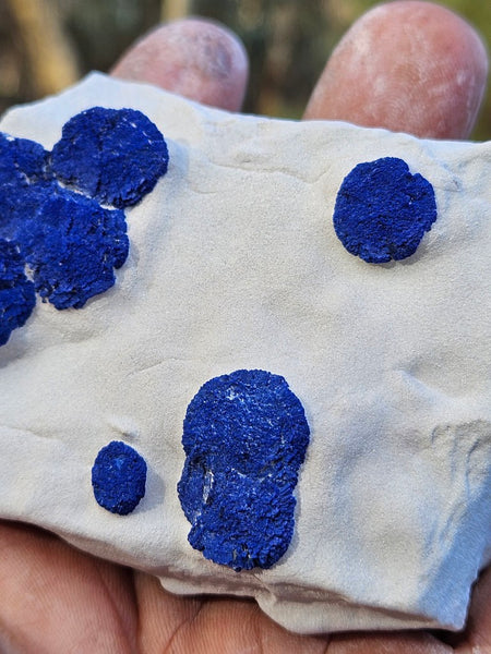 Azurite Sun  AZ207