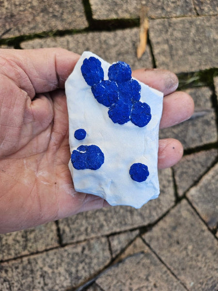 Azurite Sun  AZ207