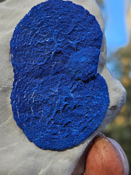 Azurite Sun  AZ208