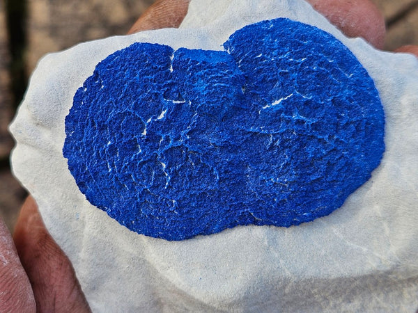 Azurite Sun  AZ208