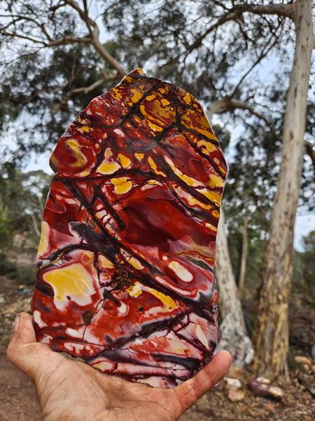 Polished  Mookaite slab MK596