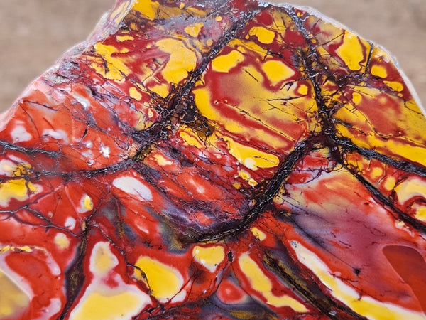 Polished  Mookaite slab MK596