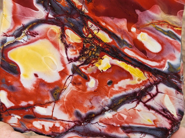 Polished  Mookaite slab MK596