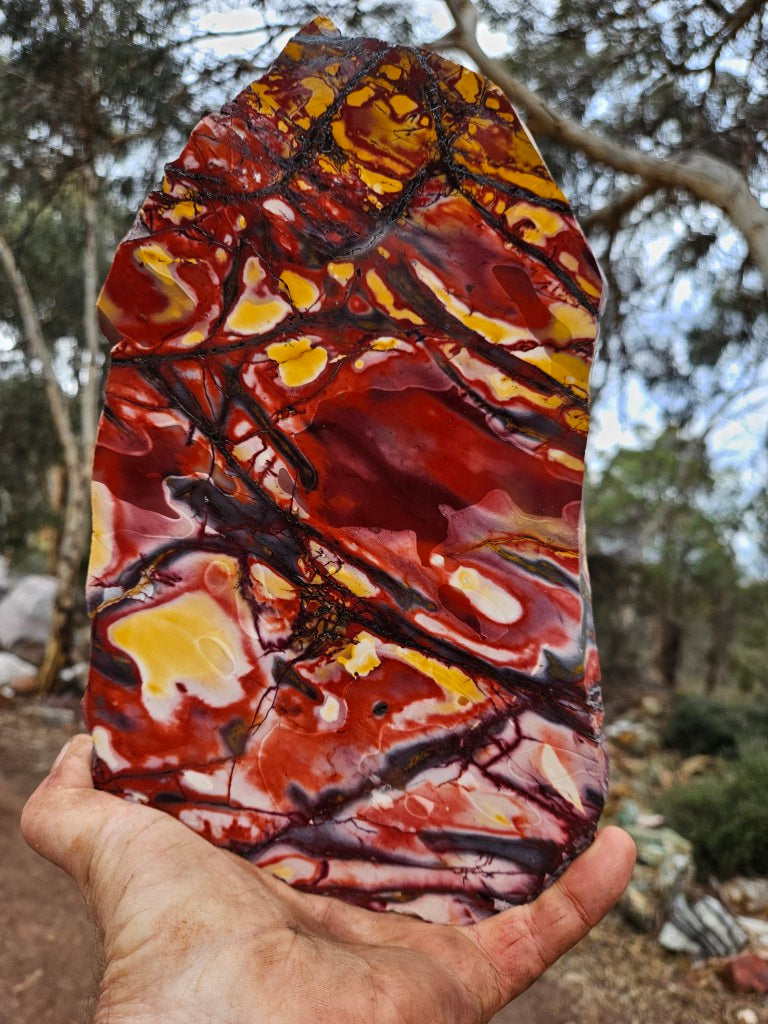 Polished  Mookaite slab MK596
